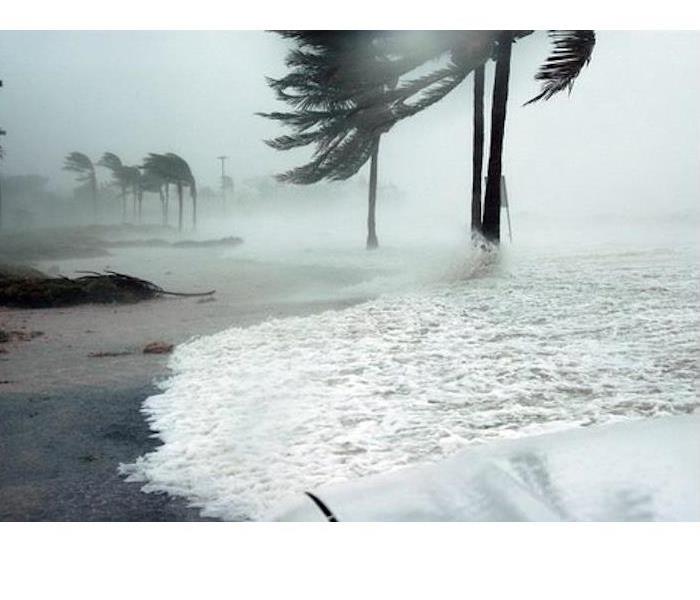 storm battering coastline with palm trees swaying in the high winds