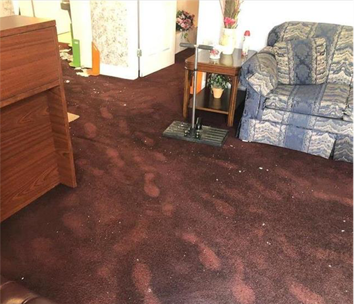 flooded carpet in Jacksonville condo unit